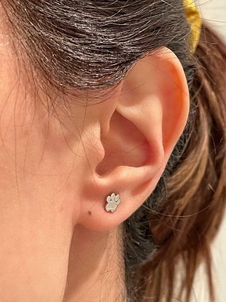 14K Solid Gold Stud Earrings - Dainty Real Gold Paw Print Earrings - Minimalist Small Gold Studs For Women Girls
