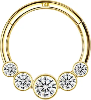 14k Yellow/White Gold Nose Rings 16G for Women & Men, 6mm 8mm 10mm Hinged Segment Cartilage Earring Hoop, Septum Rings, Helix, Rook, Tragus, Daith Body Piercing Jewelry