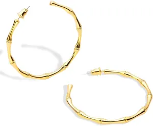 18K Real Gold Plated Hoop Earrings for Women - Stunning Handcrafted High Polished Finish Earrings with 90-Day Satisfaction Guarantee - Perfect for Any Occasion - Delicate Gift Box Included