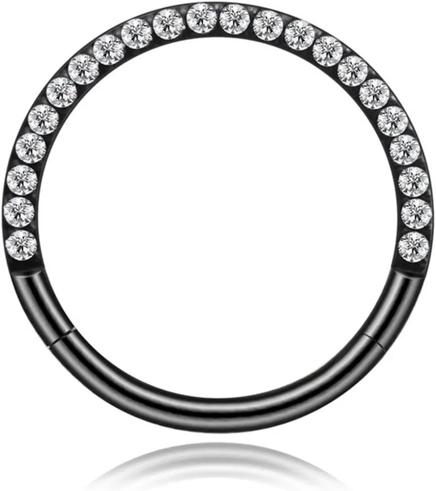 316L Stainless Steel Nose Rings Hoop 16G CZ Lined Conch Helix Cartilage Daith Earrings Hoop 8mm 10mm Septum Rings Hinged Segment Ring