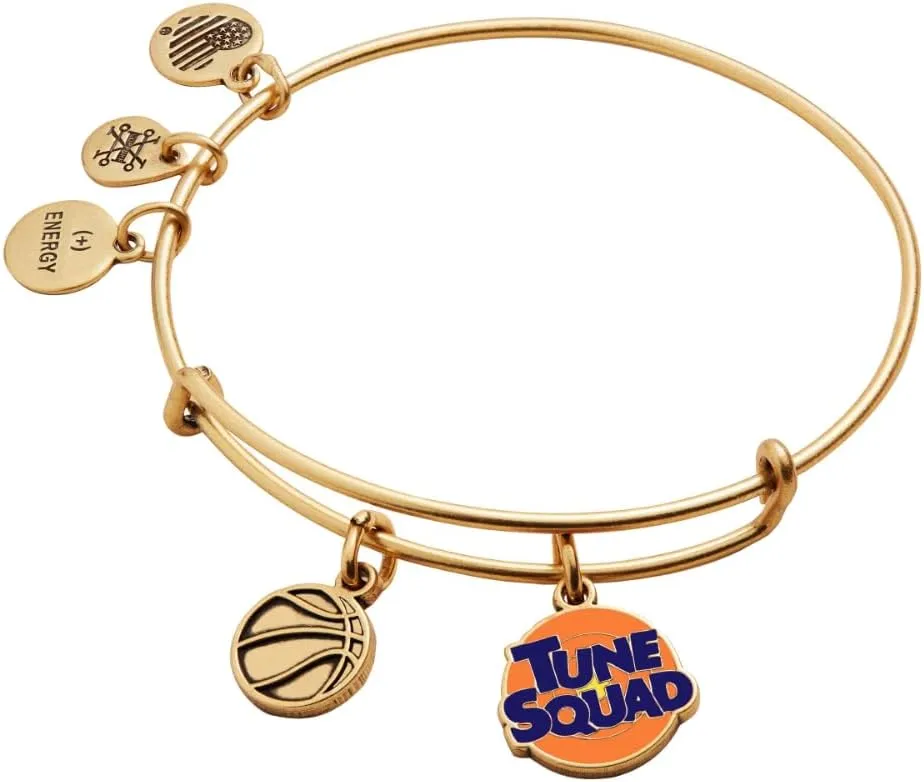 Alex and Ani AS21EBSJ05RG,Space Jam Tune Squad Duo Charm Expandable Bangle Bracelet,Rafaelian Gold,Orange, Bracelets