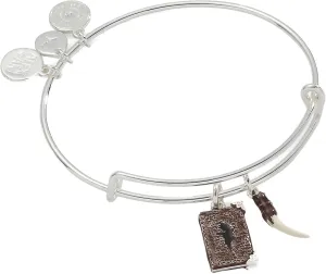 Alex and Ani AS783623AS,Harry Potter, Tom Riddle's Diary Duo Expandable Bangle Bracelet,Antique Silver,Brown, Bracelets