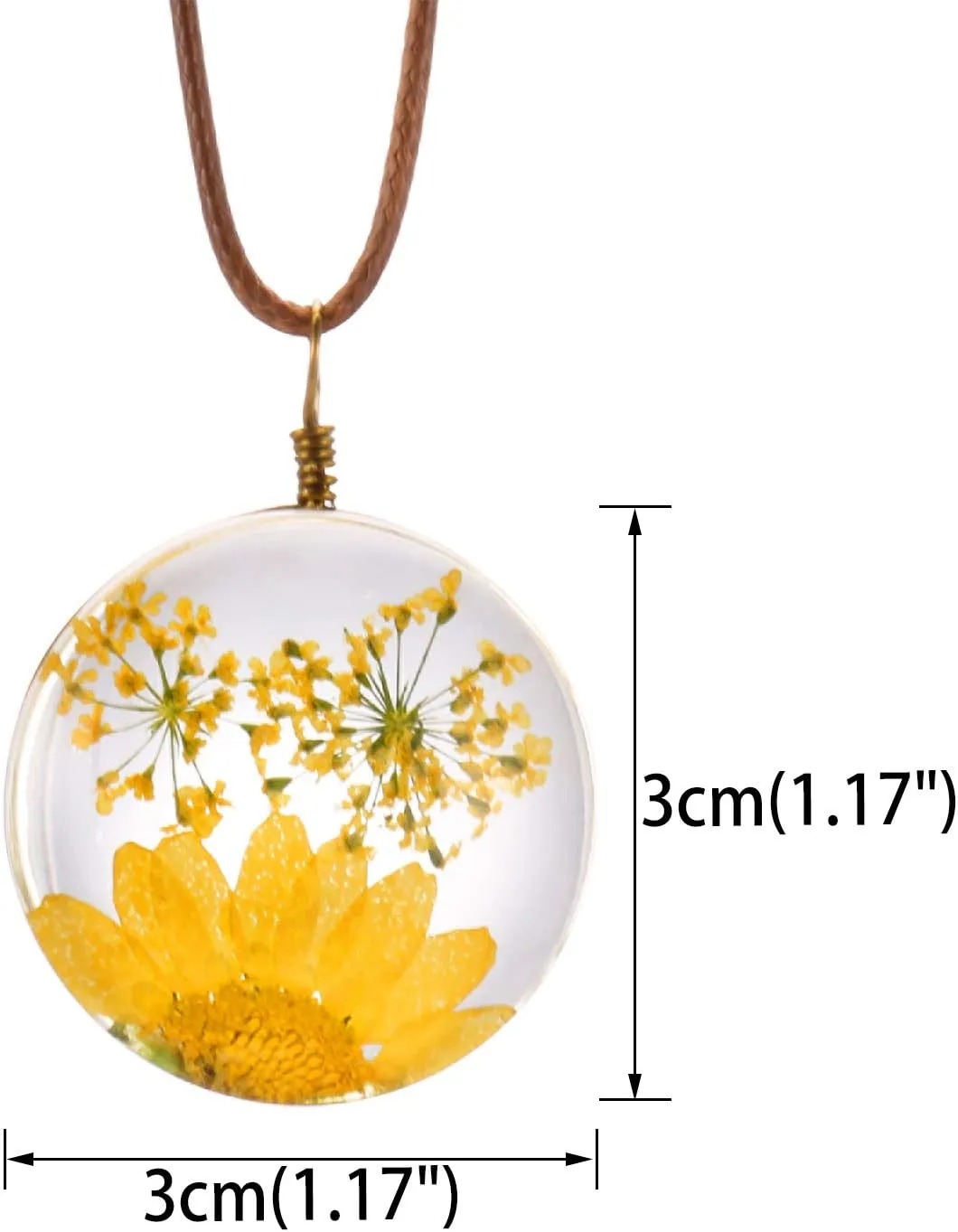 FM FM42 Queen Anne's Lace Daisy Pressed Flowers Transparent Round Pendant Necklace (7 Colors)