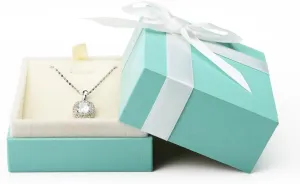 Oirlv Velvet Pendant Necklace Gift Box Long Chain Display Case