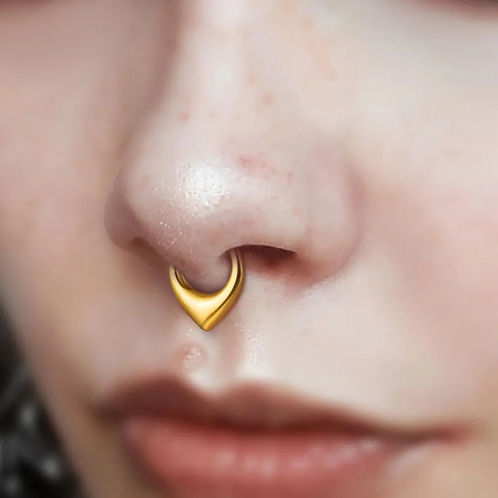 Septum Rings Hoop,16G 8mm 316L Stainless Steel Segment Nose Rings for Men, Cartilage Clicker Hoop Earrings for Rook, Daith, Tragus, Hypoallergenic for man and women